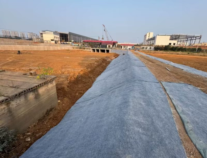 ����������ôѡ���ϣ�ˮ��̺�����Ĳ���֮ѡ